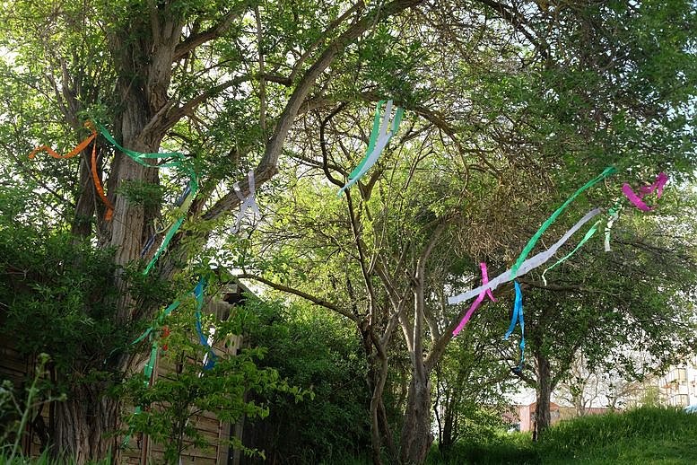 Kr&auml;uterzeit im HOC