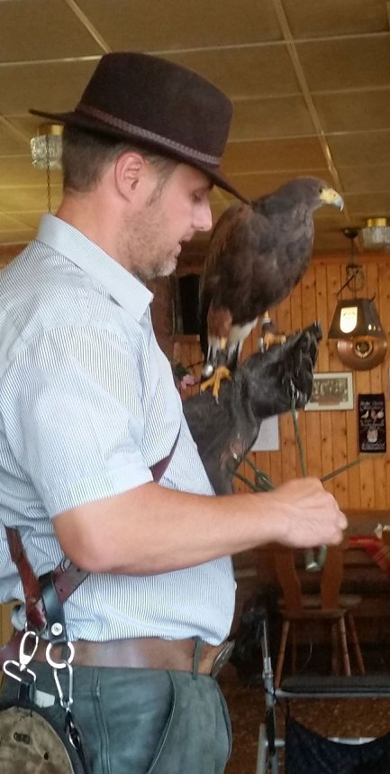 Luca Falke und W&uuml;sten-Bussard Uschi zu Besuch im WB 4