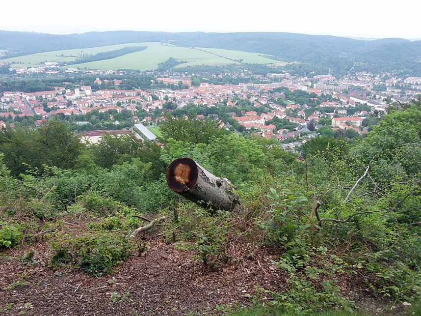 Wie sieht es denn hier aus?
