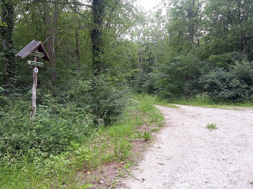 Ramelow: Th&uuml;ringer W&auml;lder in schwieriger Phase