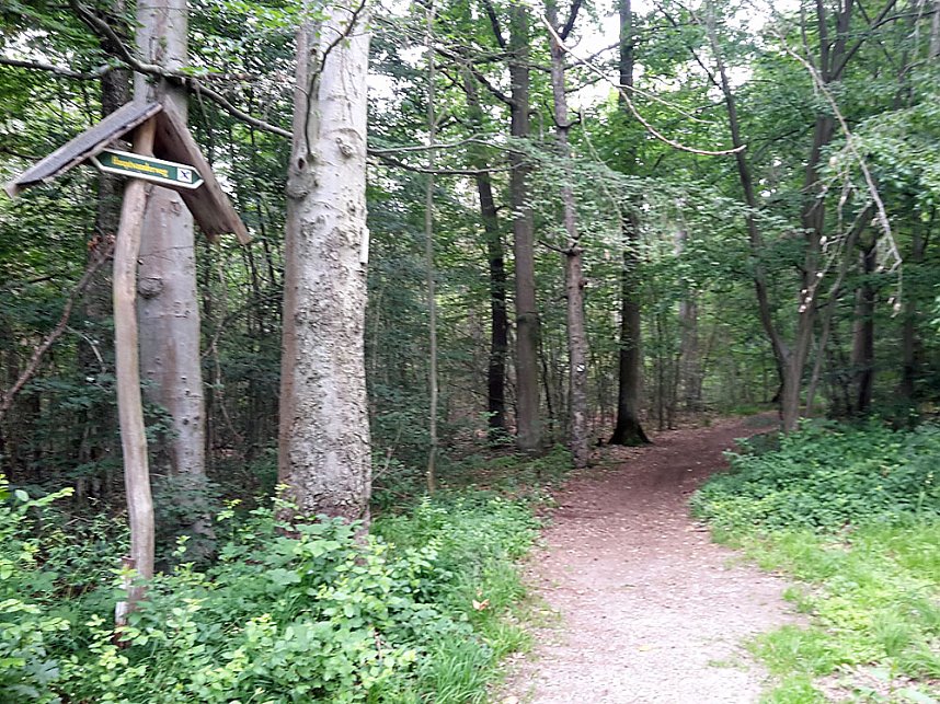 Ramelow: Th&uuml;ringer W&auml;lder in schwieriger Phase