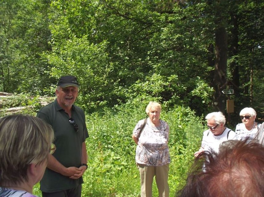 WB 4 Exkursion zur Mutterblutbuche