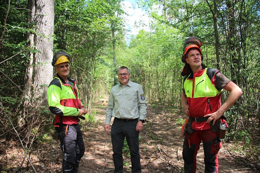 Sterben unsere Buchenw&auml;lder?