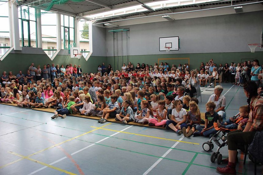 Tolle Leistungen geehrt