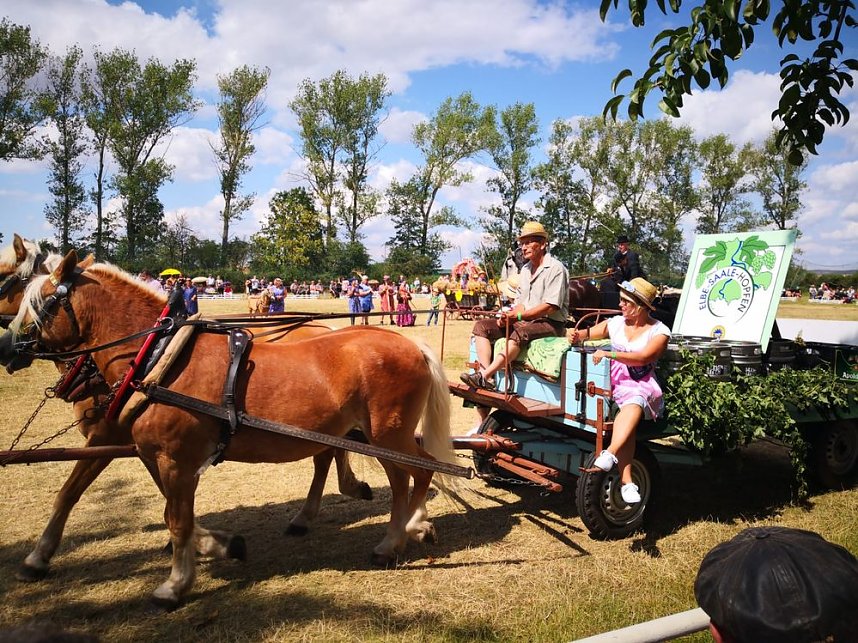 Gro&szlig;es Ponyfest Gro&szlig;enehrich