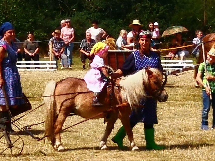 Gro&szlig;es Ponyfest Gro&szlig;enehrich