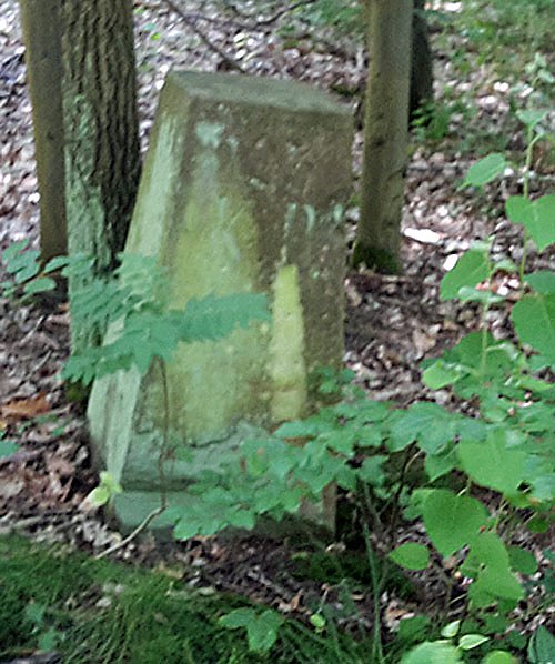 Geschichte vergammelt im Wald