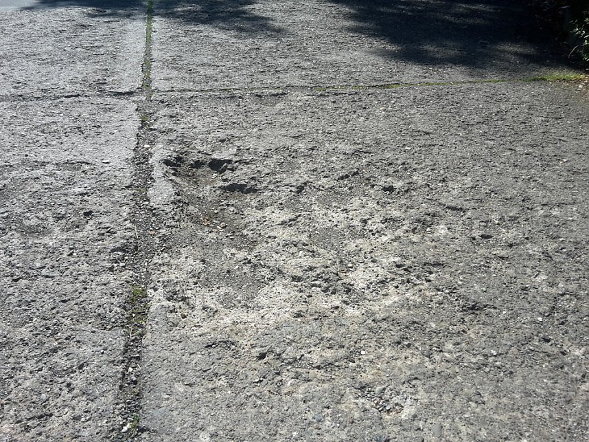 Nichts f&uuml;r Rollstuhlfahrer