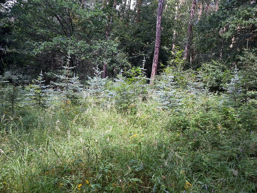 In der Windleite unterwegs