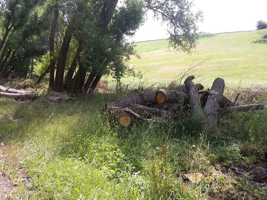 In der Windleite unterwegs