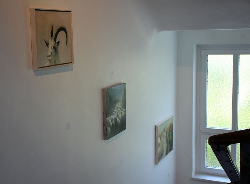 Ansehen und genie&szlig;en