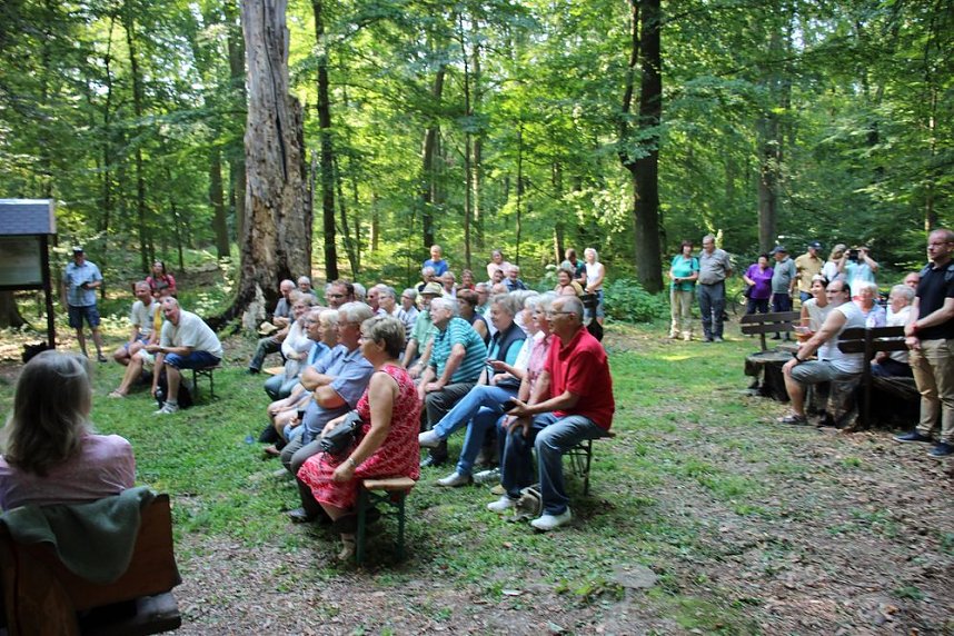 Impressionen vom Blutbuchenfest