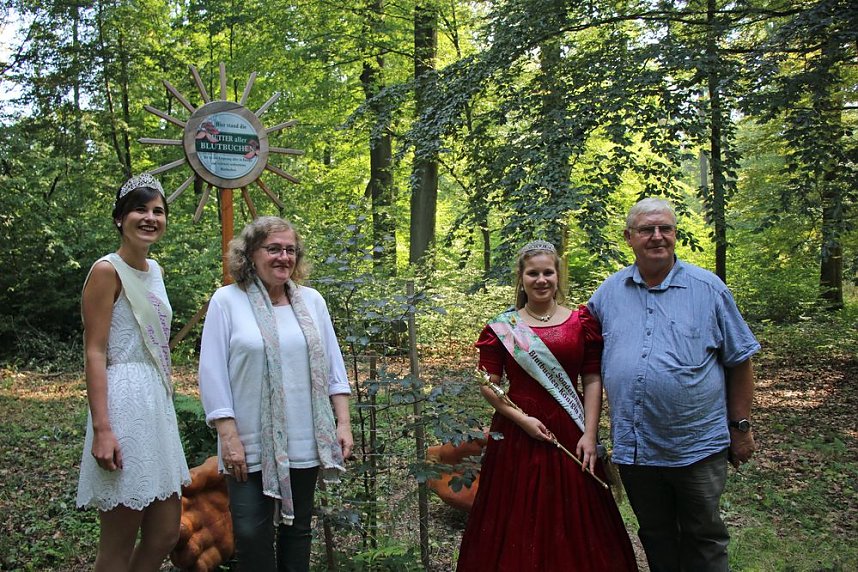 Impressionen vom Blutbuchenfest