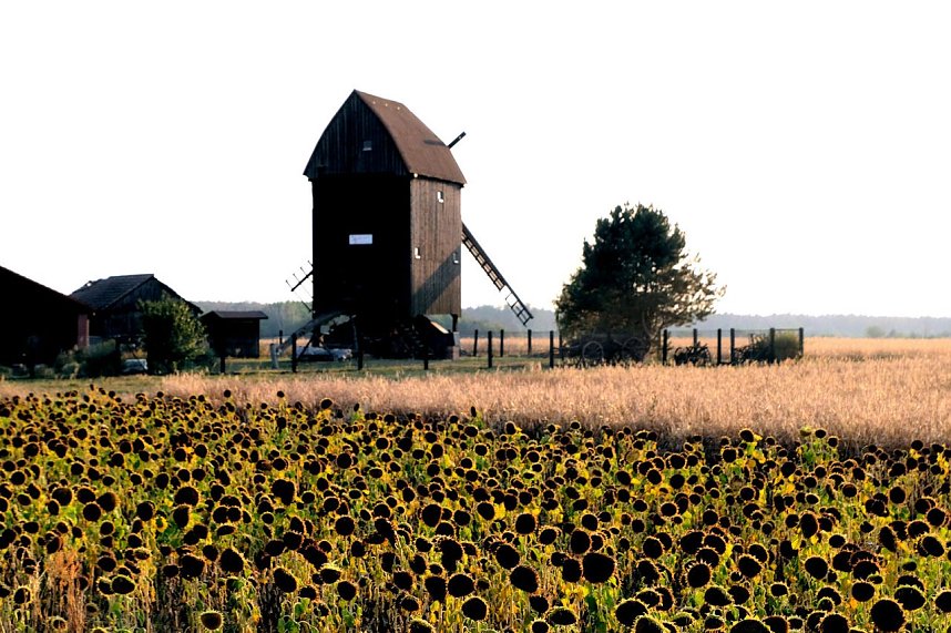 Bockwindm&uuml;hle Tiefensee