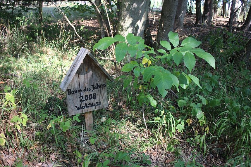 Lernen am anderen Ort