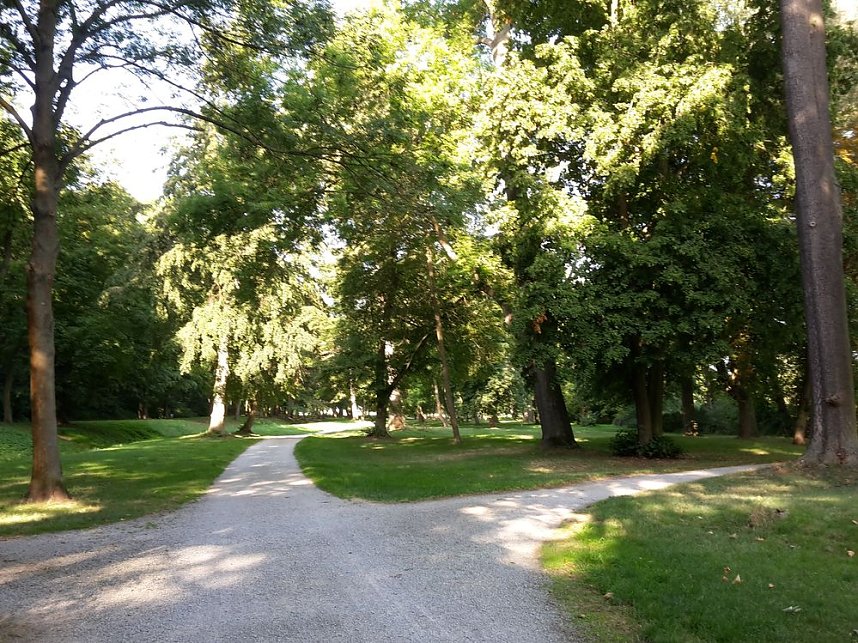 Wie mehr f&uuml;r, Insekten und Umwelt tun?