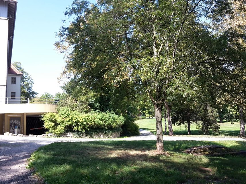 Wie mehr f&uuml;r, Insekten und Umwelt tun?