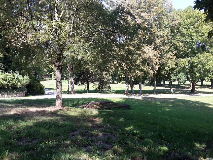 Wie mehr f&uuml;r, Insekten und Umwelt tun?