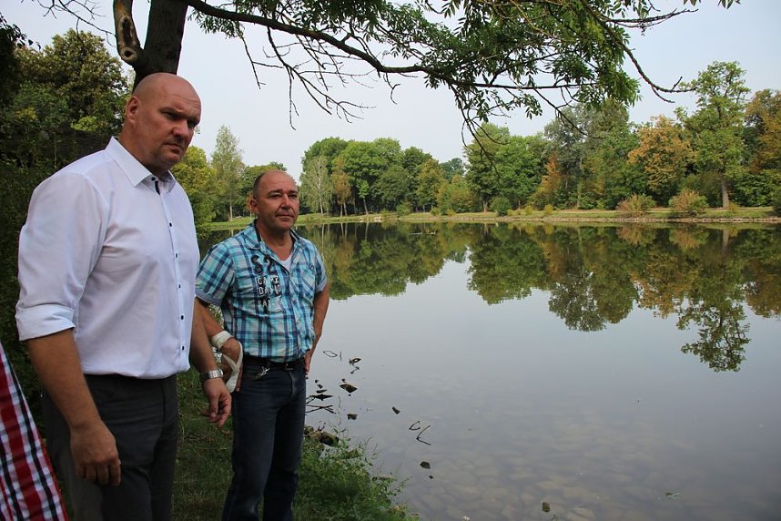 Schnelle und unkomplizierte Hilfe f&uuml;r den Parkteich