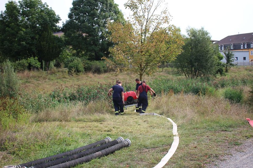 Schnelle und unkomplizierte Hilfe f&uuml;r den Parkteich