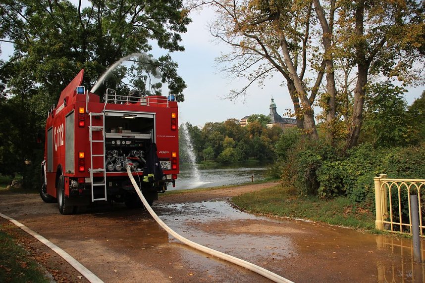 Schnelle und unkomplizierte Hilfe f&uuml;r den Parkteich