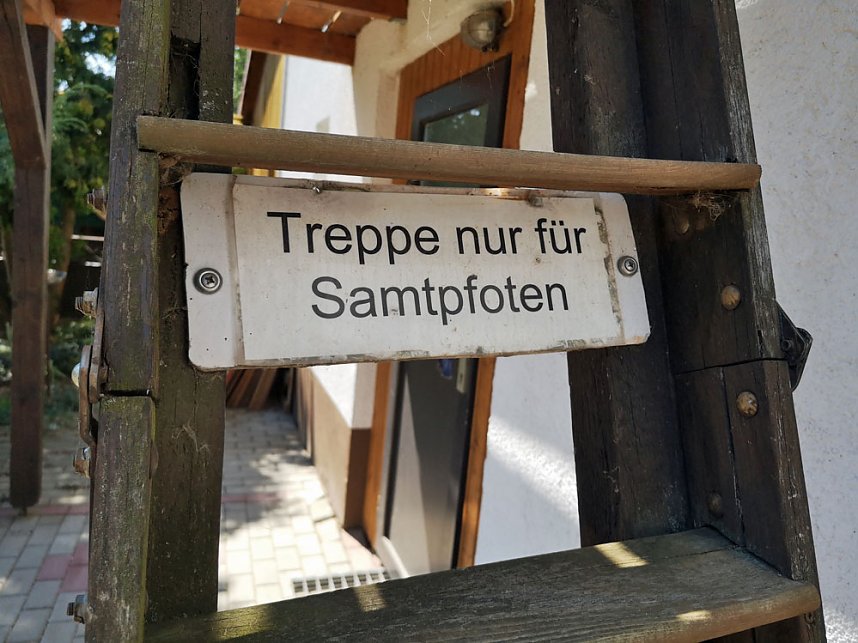 Hilfe f&uuml;r Katzen-Quarant&auml;ne-Station