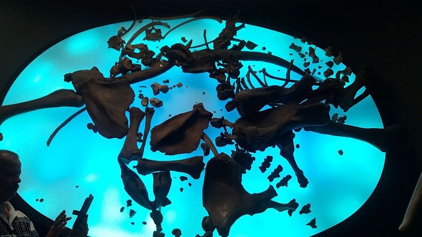 Eine Reise in die Vergangenheit