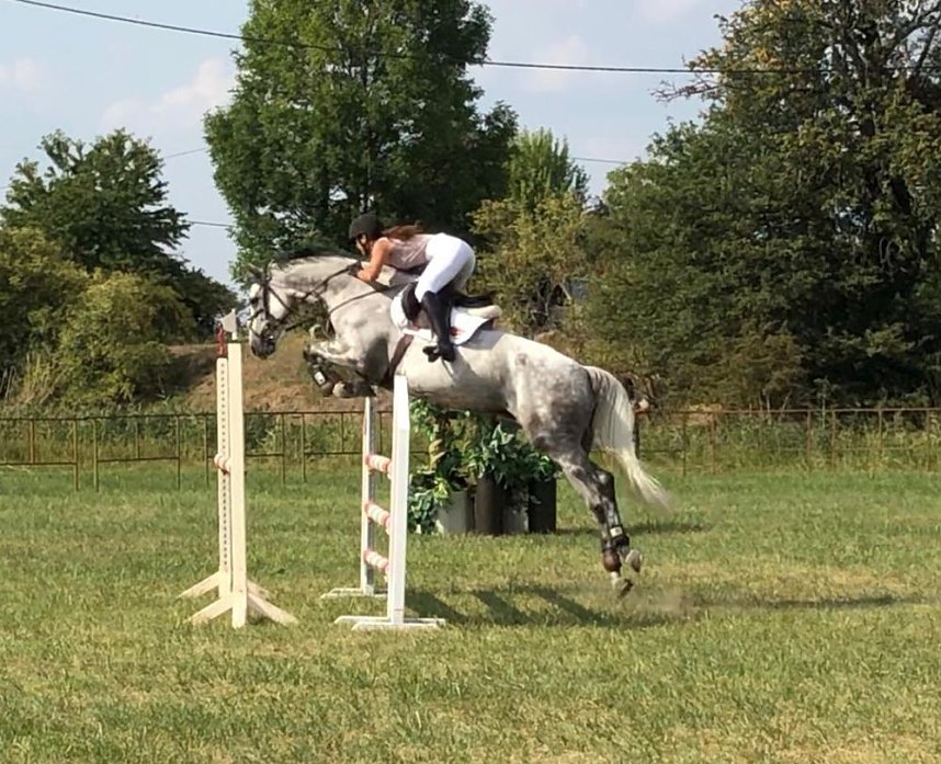 Dressur- uns Springturnier in Donndorf