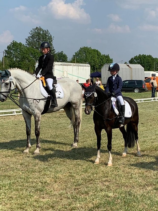 Dressur- uns Springturnier in Donndorf