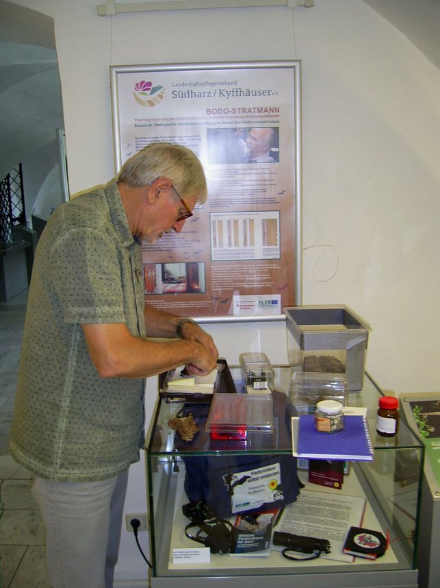 Flederm&auml;use Geheimnisvolle J&auml;ger der Nacht