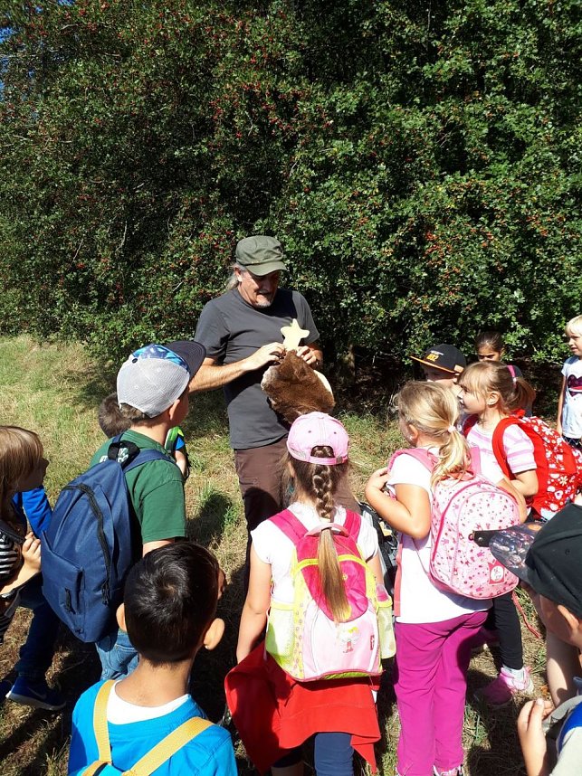 Den Wald mit allen Sinnen entdecken