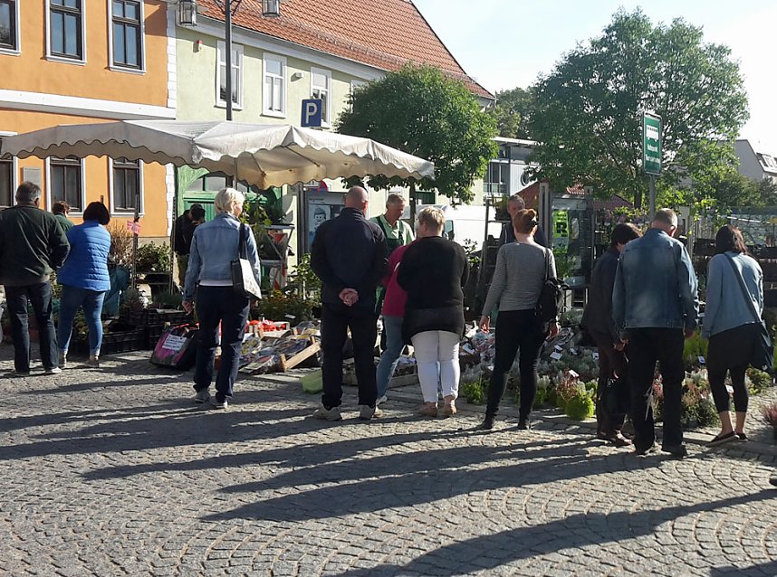 Pflanzen und Menschen in H&uuml;lle und F&uuml;lle
