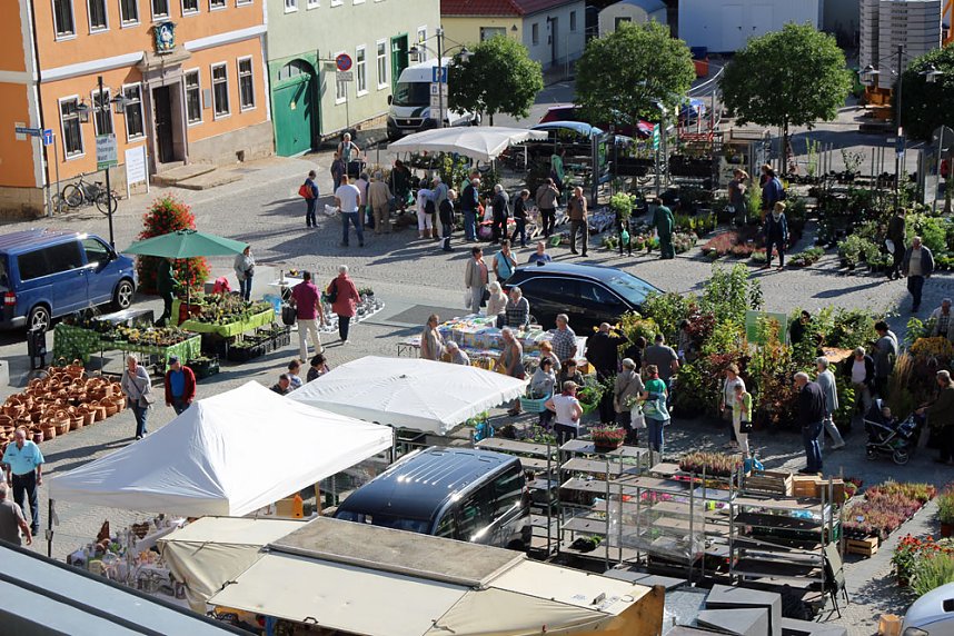 Pflanzen und Menschen in H&uuml;lle und F&uuml;lle