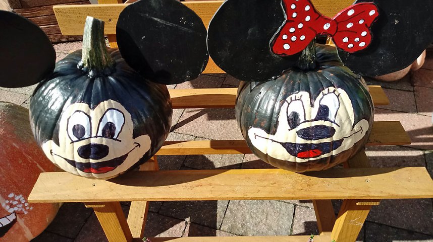 K&uuml;rbisse &uuml;ber K&uuml;rbisse