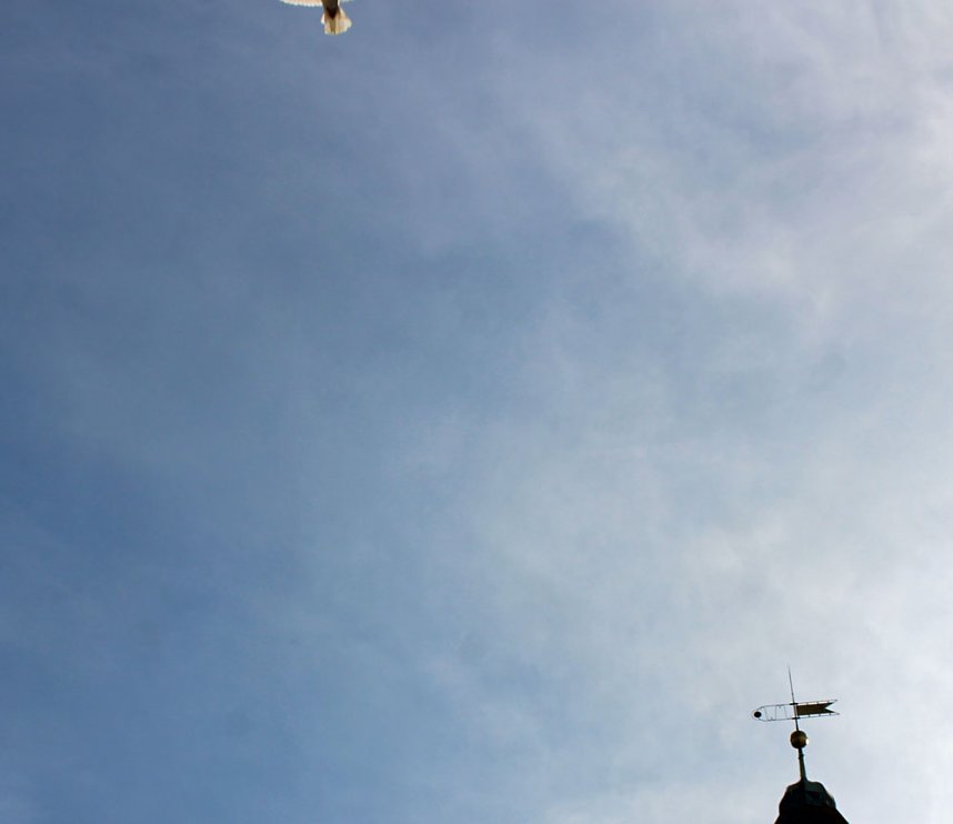 Zusammen leben, zusammen wachsen