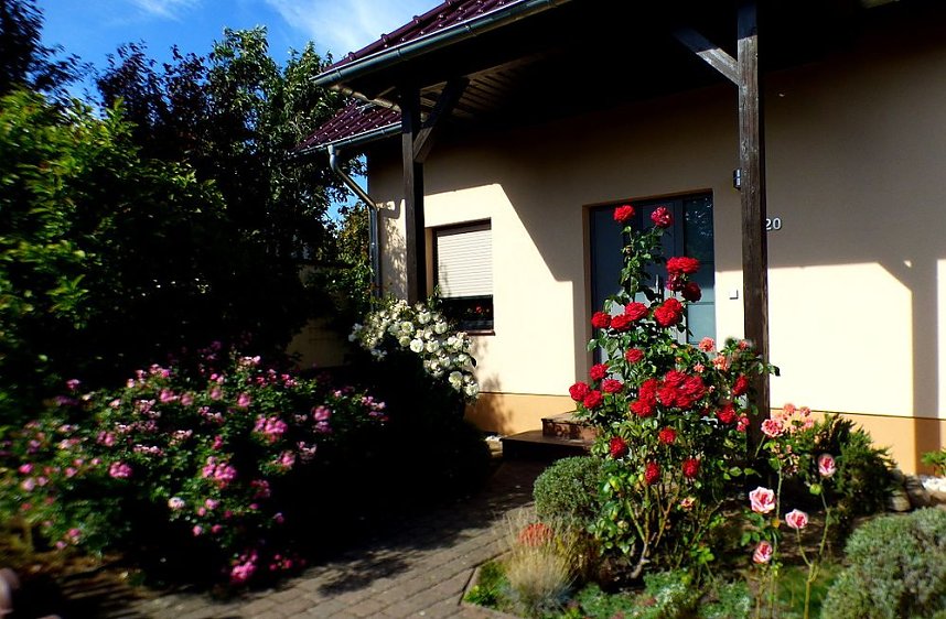 Gro&szlig;e Beteiligung am  25. "Frankenh&auml;user Blumensommer" 2019