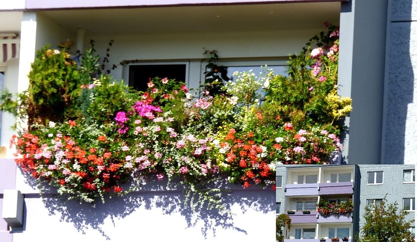 Gro&szlig;e Beteiligung am  25. "Frankenh&auml;user Blumensommer" 2019