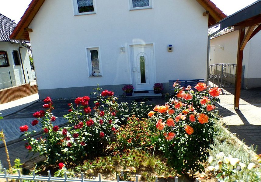 Gro&szlig;e Beteiligung am  25. "Frankenh&auml;user Blumensommer" 2019