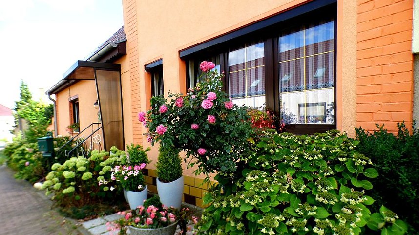 Gro&szlig;e Beteiligung am  25. "Frankenh&auml;user Blumensommer" 2019