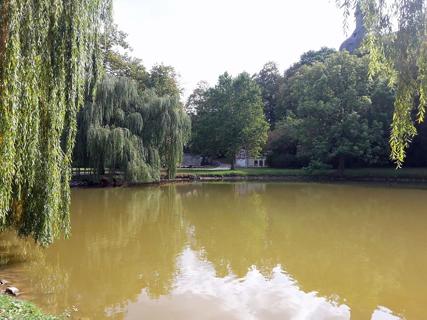 Der Trockenheit geschuldet