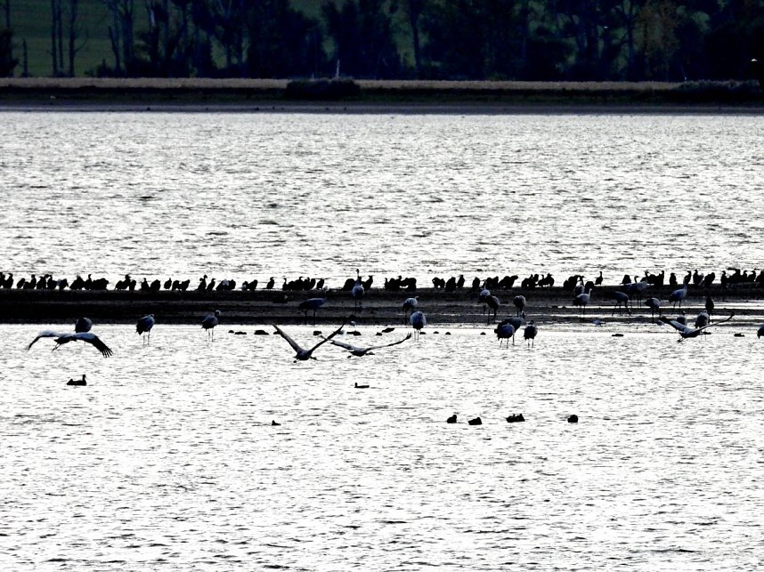 Abendstimmung am Stausee Kelbra