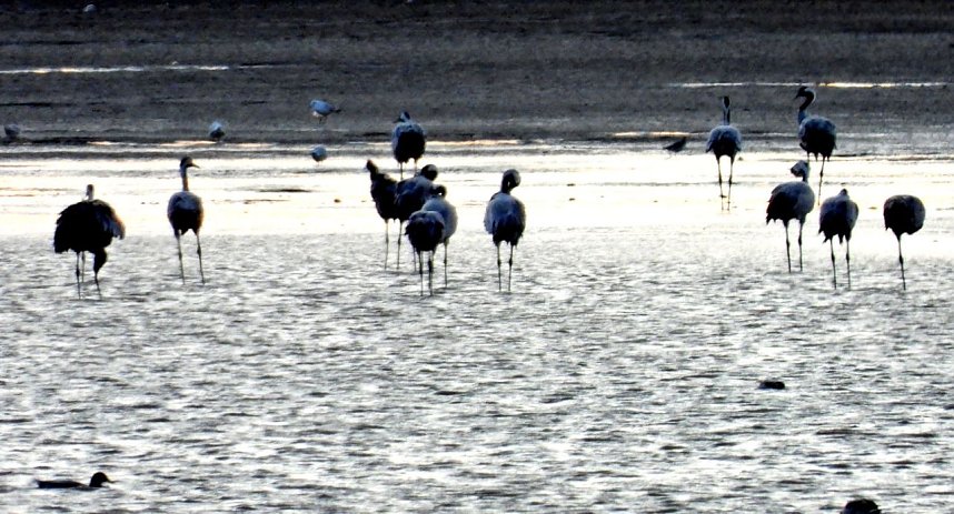 Abendstimmung am Stausee Kelbra