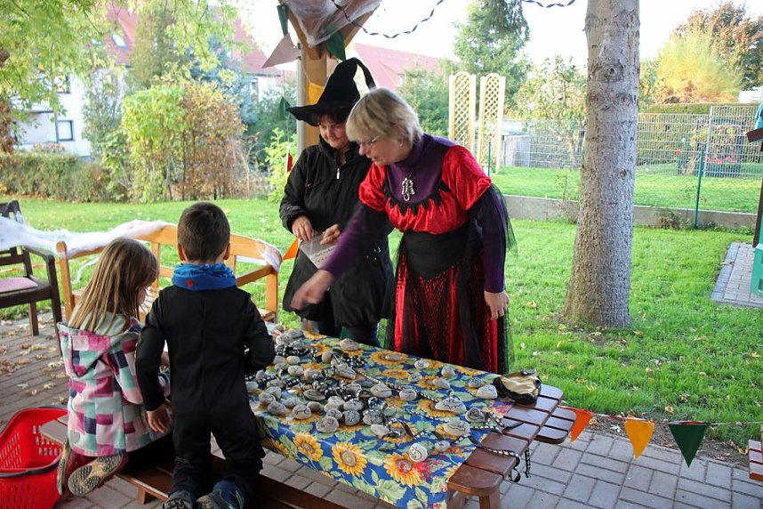 Grusliges im K&auml;ferland