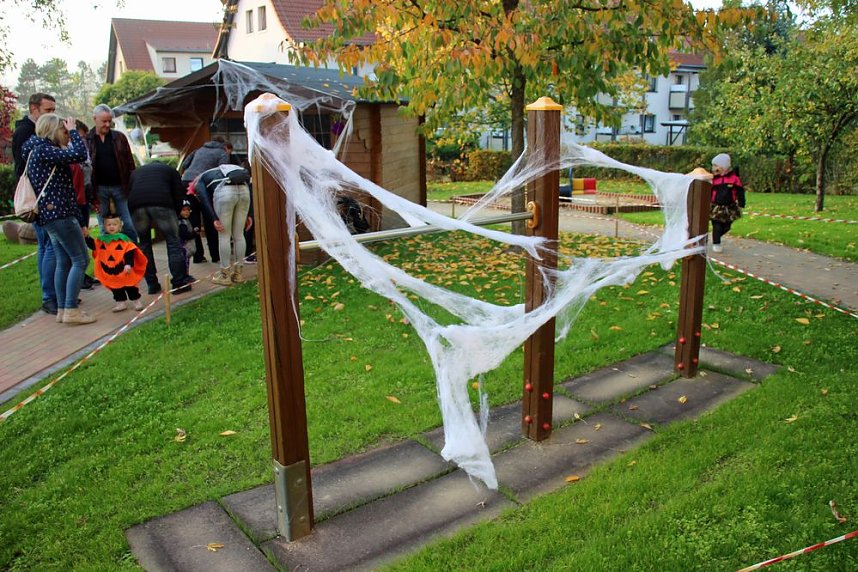 Grusliges im K&auml;ferland