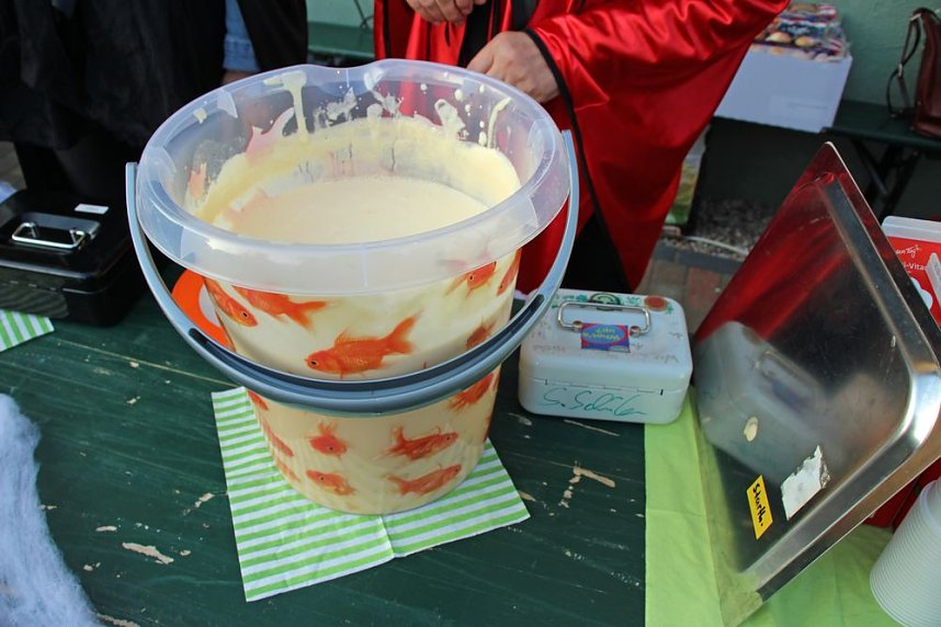 Grusliges im K&auml;ferland