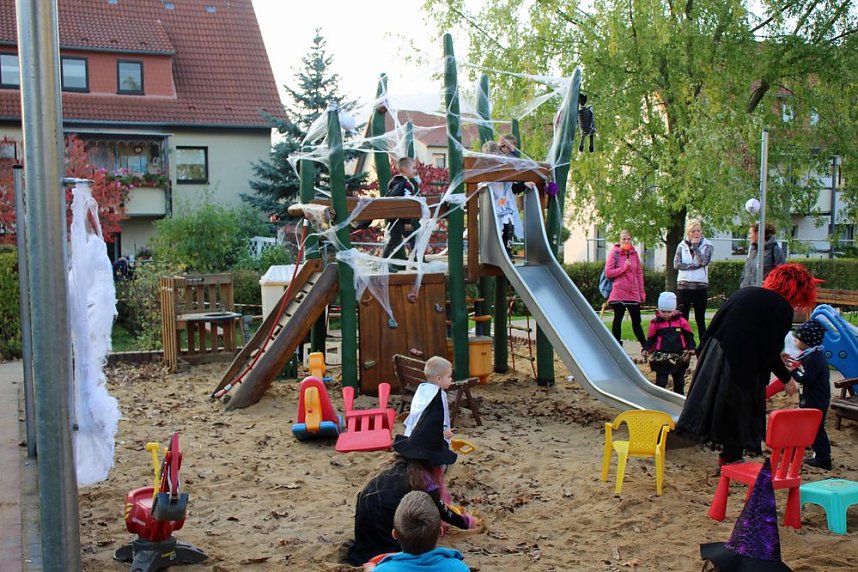 Grusliges im K&auml;ferland