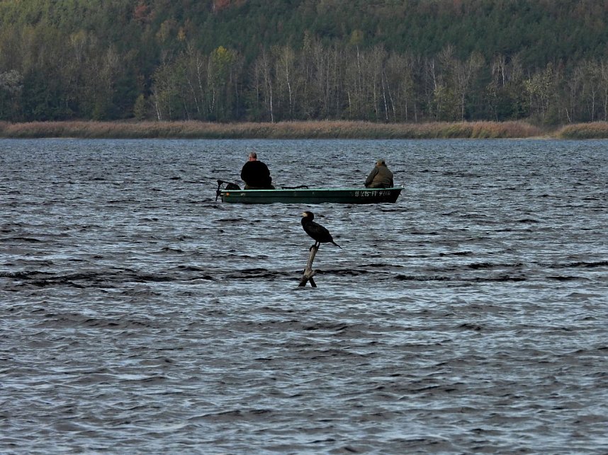 Peter Blei am Muldestausee