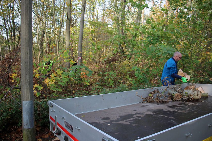 Feuerwehr beim Arbeitseinsatz