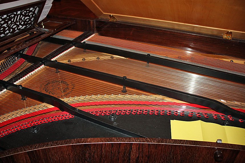 Einzigartiges Konzert von Ragna Schirmer in Sondershausen