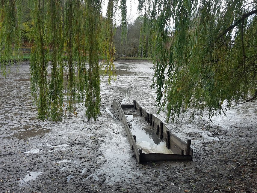 Blutspendetermine, Parkteich und Lampionumzug